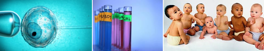 IVF_babies__born_Viva-City IVF_babies__born_Viva-City