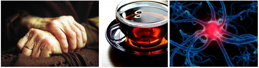 black tea against Parkinson disease black tea against Parkinson disease