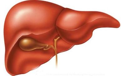 transplantacia_pecheni_v_iuzhnoi_koree