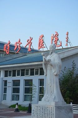 shizhentang_lechenie